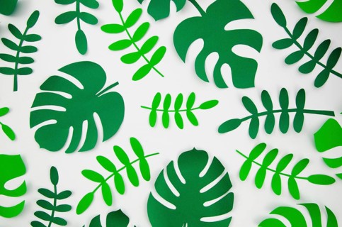 Tropical monstera plants style cut paper
