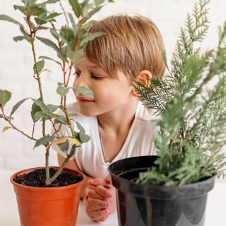 Young boy looking two pots with plants