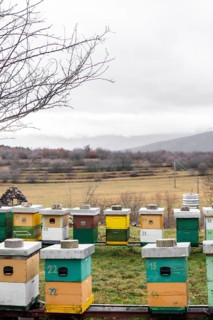 Bee hives outdoors country lifestyle