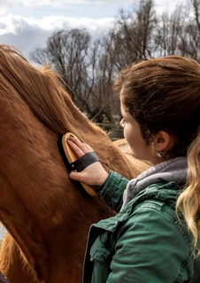 Close up woman brushing horse