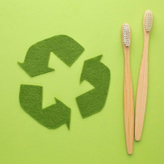 Ecological toothbrushes