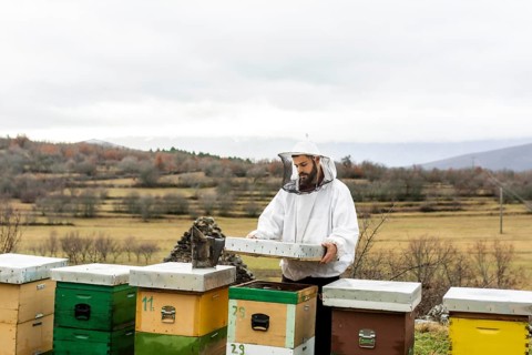 Medium shot man checking bees