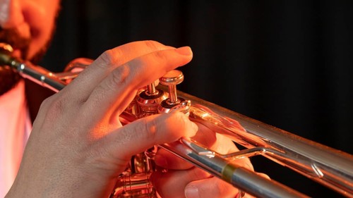 Musician celebrating jazz day
