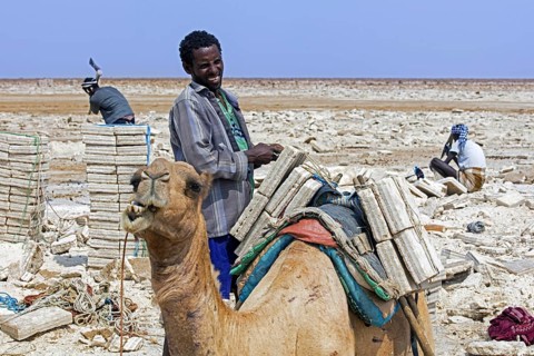 Afar salt miners chopping blocks