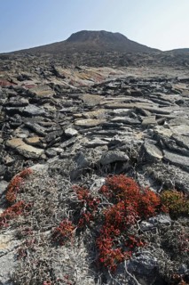 The volcanic lava rock formation Sombrero Chino