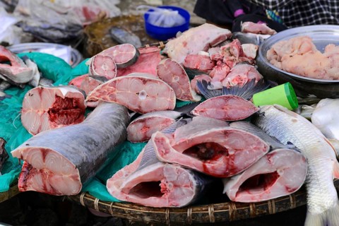 Local woman selling fish