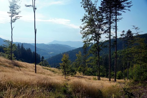 Moravian-Silesian Beskydy