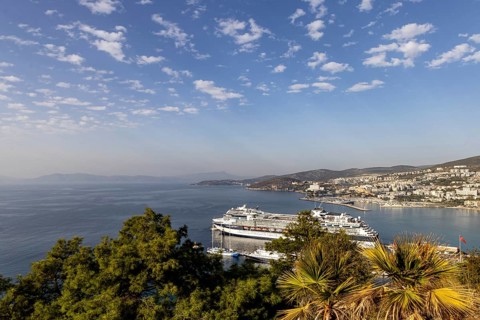 Celebrity Infinity