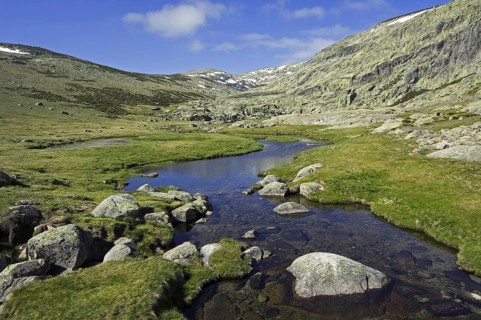 Mountain stream in spring in the Sierra de Gredos