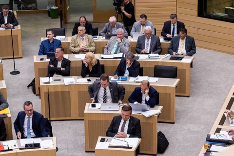 AfD parliamentary group