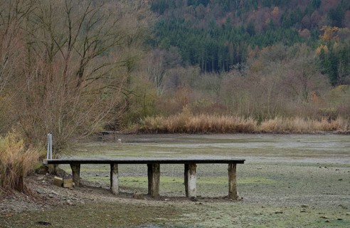 Winter lake drainage as a municipal measure for lake restoration