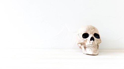 Spooky skull halloween