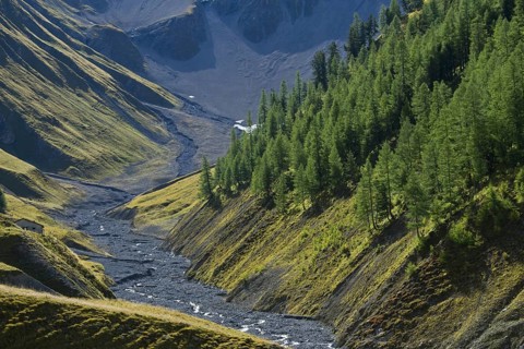 Almost dry riverbed of the river Ova da Trupchun in Val Trupchun