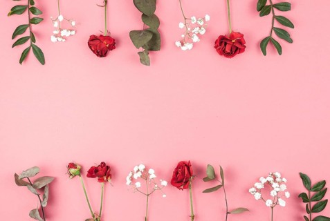 Row rose baby s breath leafs arranged peach backdrop