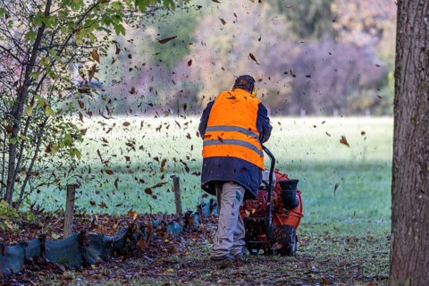 Autumn is the time for leaf blowers