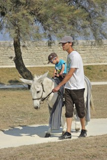 Child riding donkey with trousers at Saint-Martin-de-Re on the island Ile de Re