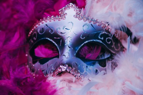 Close up carnival venetian mask soft feathers
