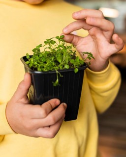 Front view little girl home with small plant