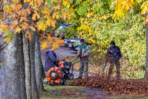 Autumn is the time for leaf blowers