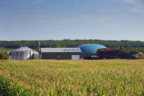 Farm-based maize silage anaerobic digester plant for producing biofuel