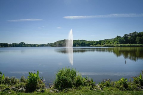 Schloonsee