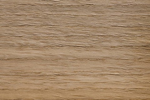 Wood grain of American White oak