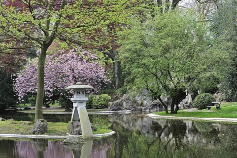 Japanese garden with duck pond in city park