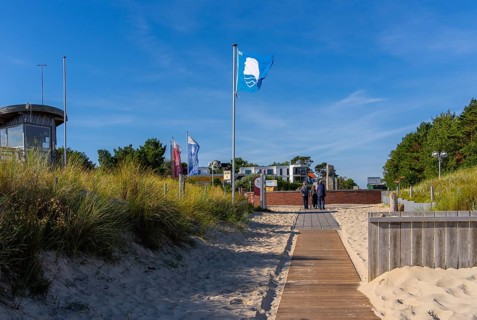 Beach access with sand dunes