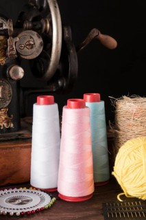 Threads needles near sewing machine