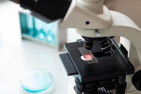 Close up microscope glass slide