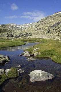 Mountain stream in spring in the Sierra de Gredos