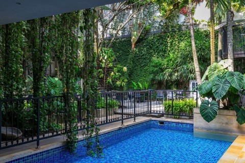 Green courtyard with pool in a hotel