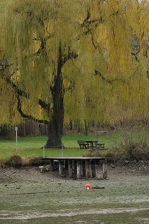Winter lake drainage as a municipal measure for lake restoration