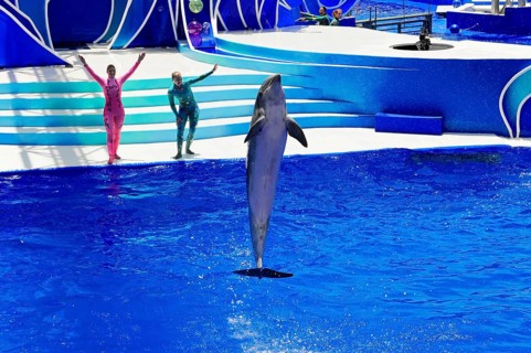 Dolphin Stadium
