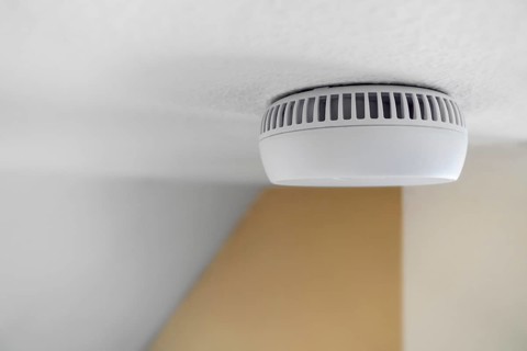 Domestic smoke alarm