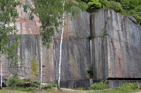 Birch trees growing in the abandoned red marble quarry Carriere de Beauchateau at Senzeilles in the Belgian Ardennes