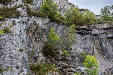 Ballachulish slate quarry showing overgrown cliff