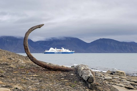 Cruise ship and old rusty anchor at the Bamsebu whaling station