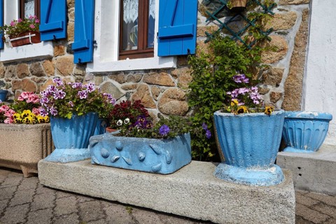 Flower pots in front of a house with natural stone walls in Paimpol