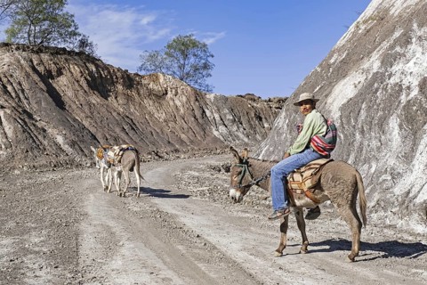 Bolivian Guarani man riding a donkey along mountain road in the Andes