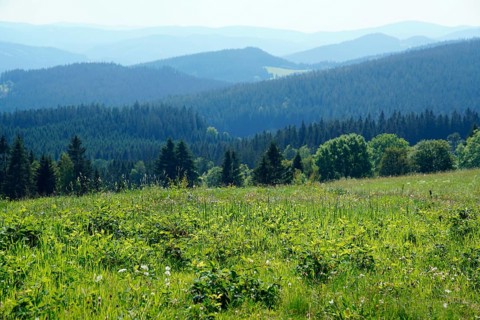 Moravian-Silesian Beskydy