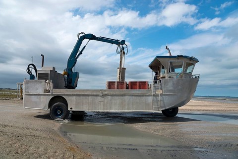 Amphibious vehicle on the way to the mussel harvest