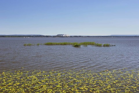 Steinhuder Meer