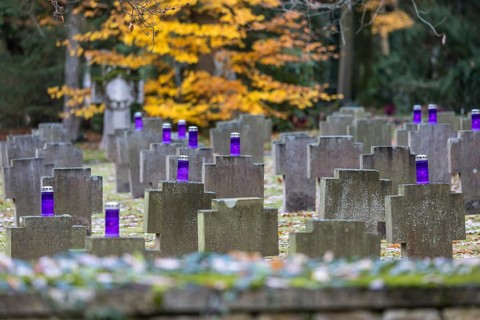 Cemetery for fallen soldiers of the world wars