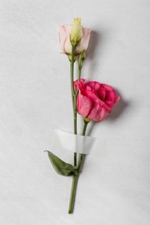 Top view roses arrangement
