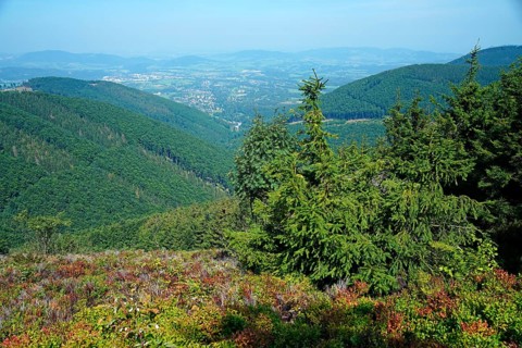Moravian-Silesian Beskydy