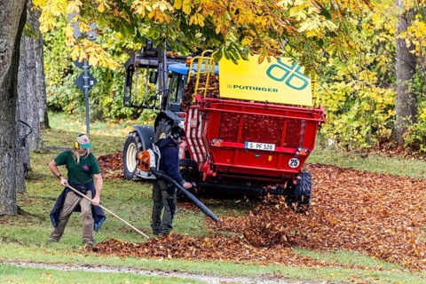 Autumn is the time for leaf blowers