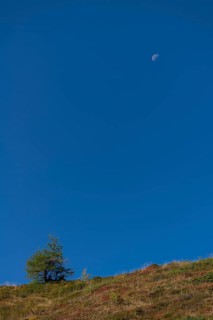 Waning moon