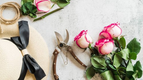 Straw hat secateurs rose twigs concrete backdrop