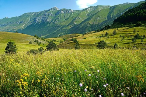 Litlle Tibet